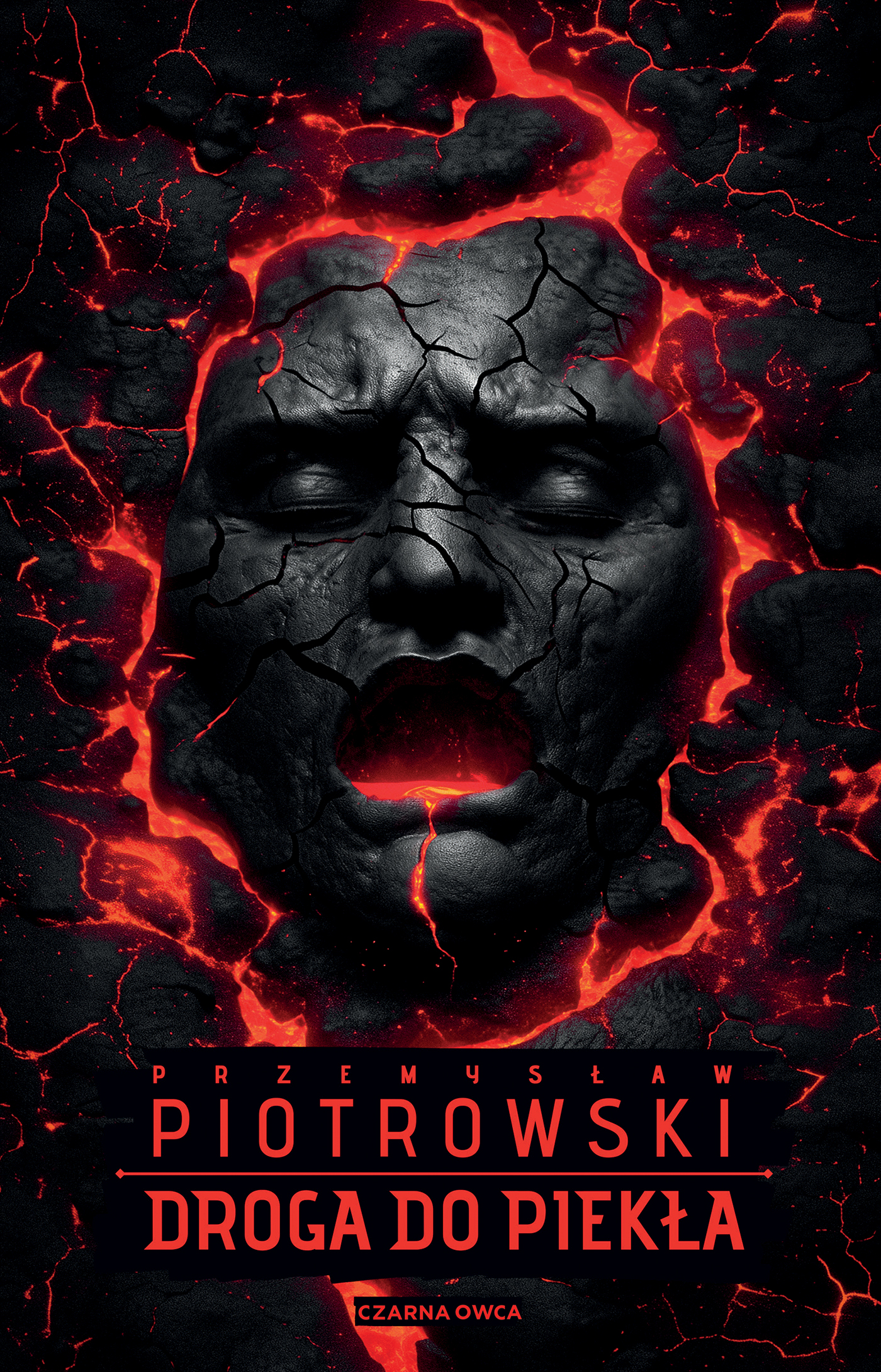 Tytuł: Droga do piekła
Autor: Przemysław Piotrowski
Wydawnictwo: Wydawnictwo Czarna Owca
Formaty: EPUB, MOBI
