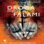 Tytuł: Droga między falami
Autor: Bartosz Niegrebecki
Wydawnictwo: Takimslovem Sp. zo.o.
Formaty: MP3
