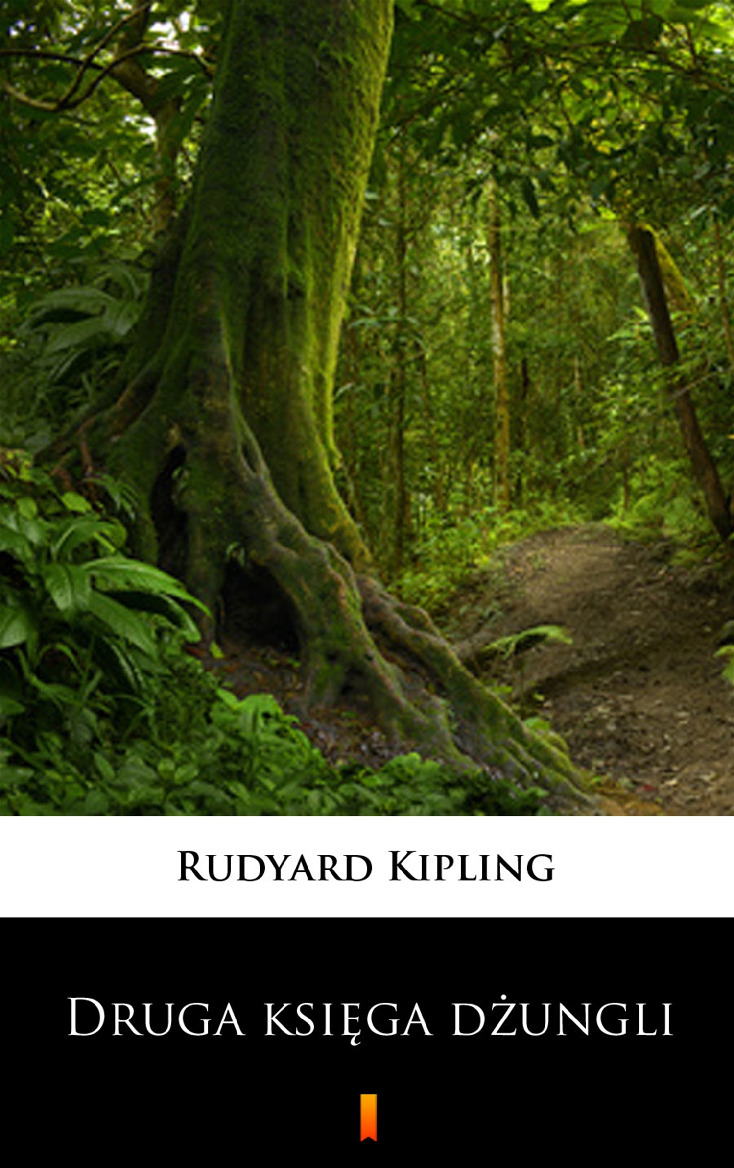 Tytuł: Druga księga dżungli
Autor: Rudyard Kipling
Wydawnictwo: KtoCzyta.pl
Formaty: EPUB, MOBI