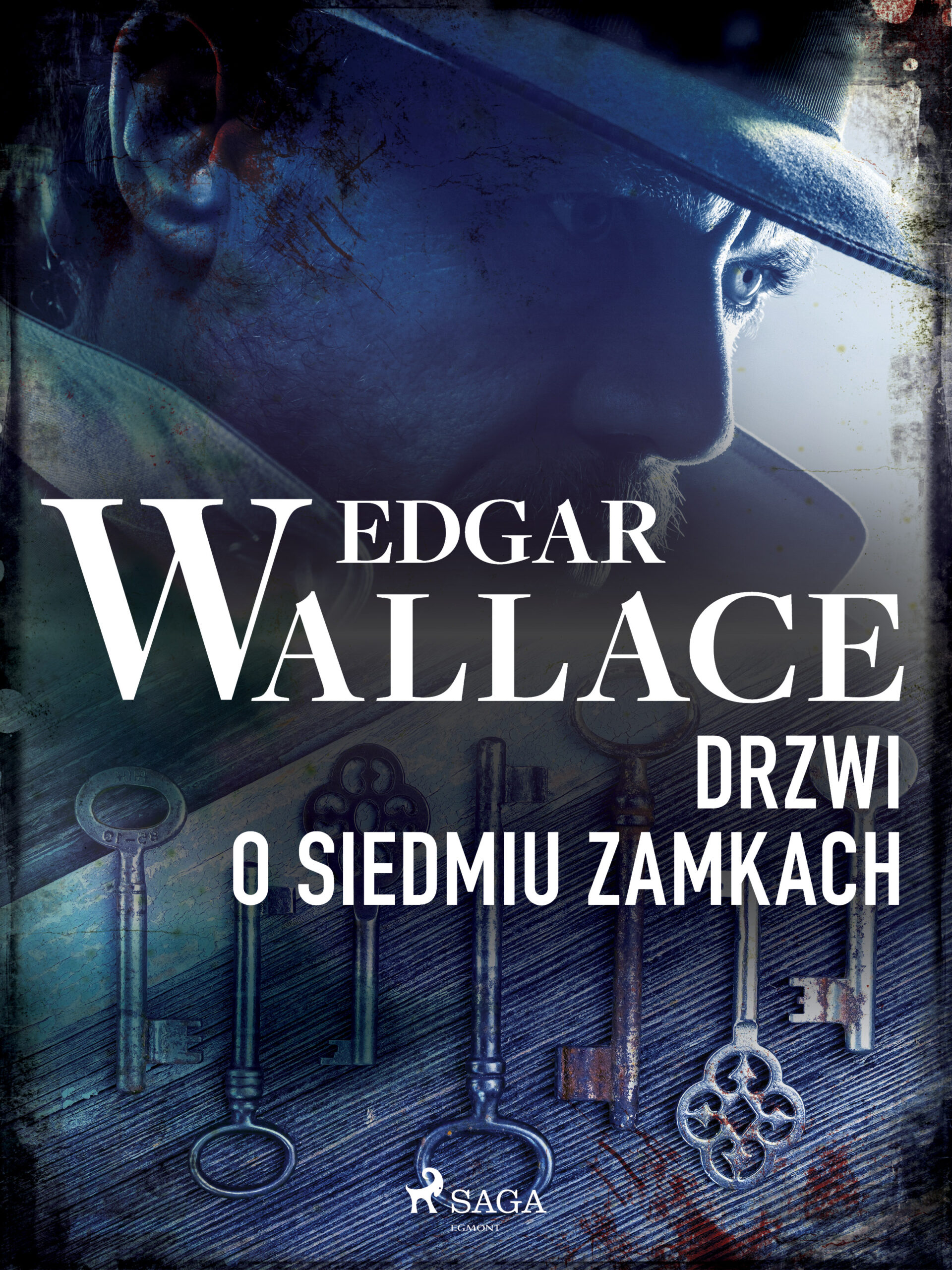 Drzwi o siedmiu zamkach — okładka e-booka