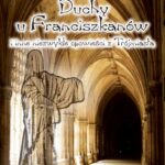 Duchy u franciszkanów — okładka e-booka