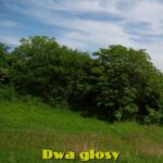 Tytuł: Dwa głosy
Autor: Gustaw Daniłowski
Wydawnictwo: Armoryka
Formaty: MOBI, EPUB