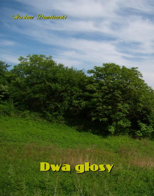 Tytuł: Dwa głosy
Autor: Gustaw Daniłowski
Wydawnictwo: Armoryka
Formaty: MOBI, EPUB