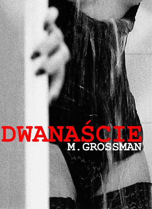 Dwanaście — okładka e-booka