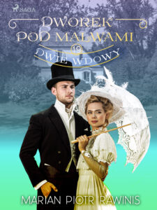Dworek pod Malwami 19 - Dwie wdowy — okładka e-booka