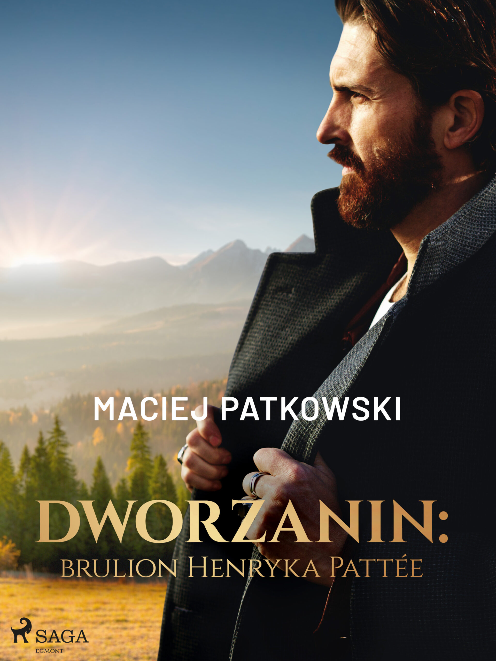 Dworzanin: brulion Henryka Pattée — okładka e-booka