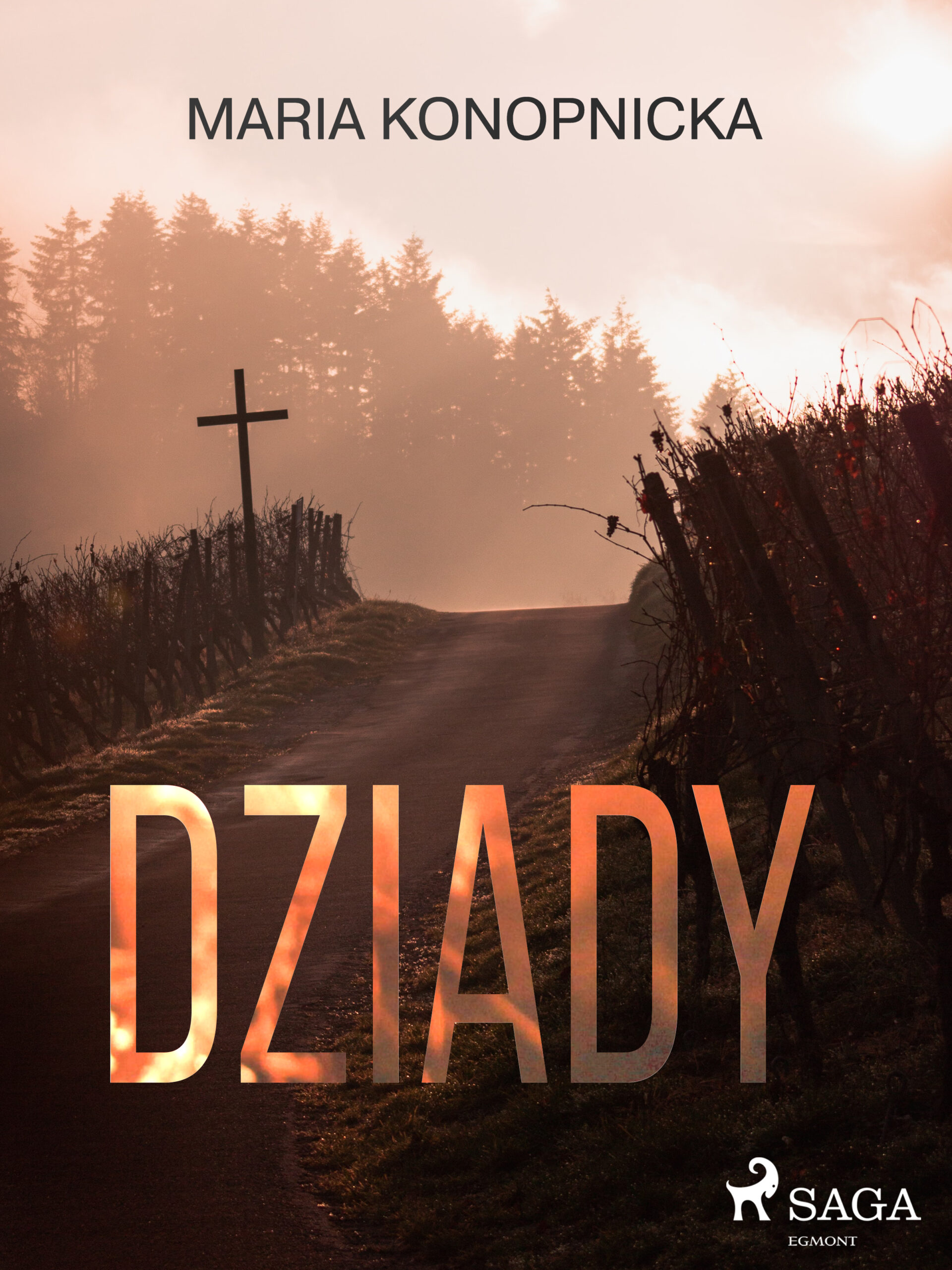 Tytuł: Dziady
Autor: Maria Konopnicka
Wydawnictwo: SAGA Egmont
Formaty: EPUB, MOBI
