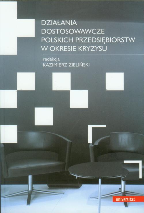 Działania dostosowawcze polskich przedsiębiorstw w okresie kryzysu — okładka e-booka