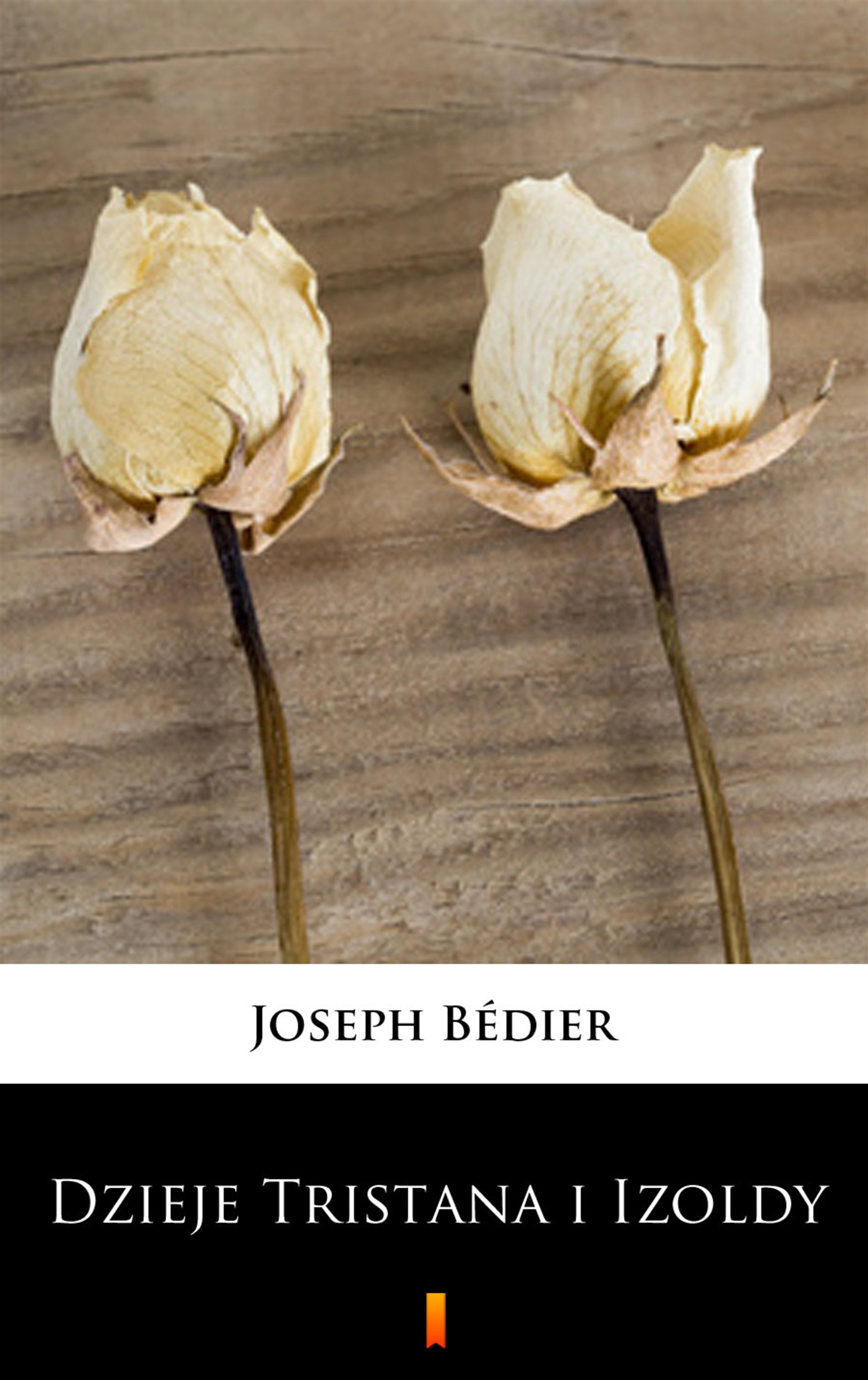 Tytuł: Dzieje Tristana i Izoldy
Autor: Joseph Bédier
Wydawnictwo: KtoCzyta.pl
Formaty: EPUB, MOBI