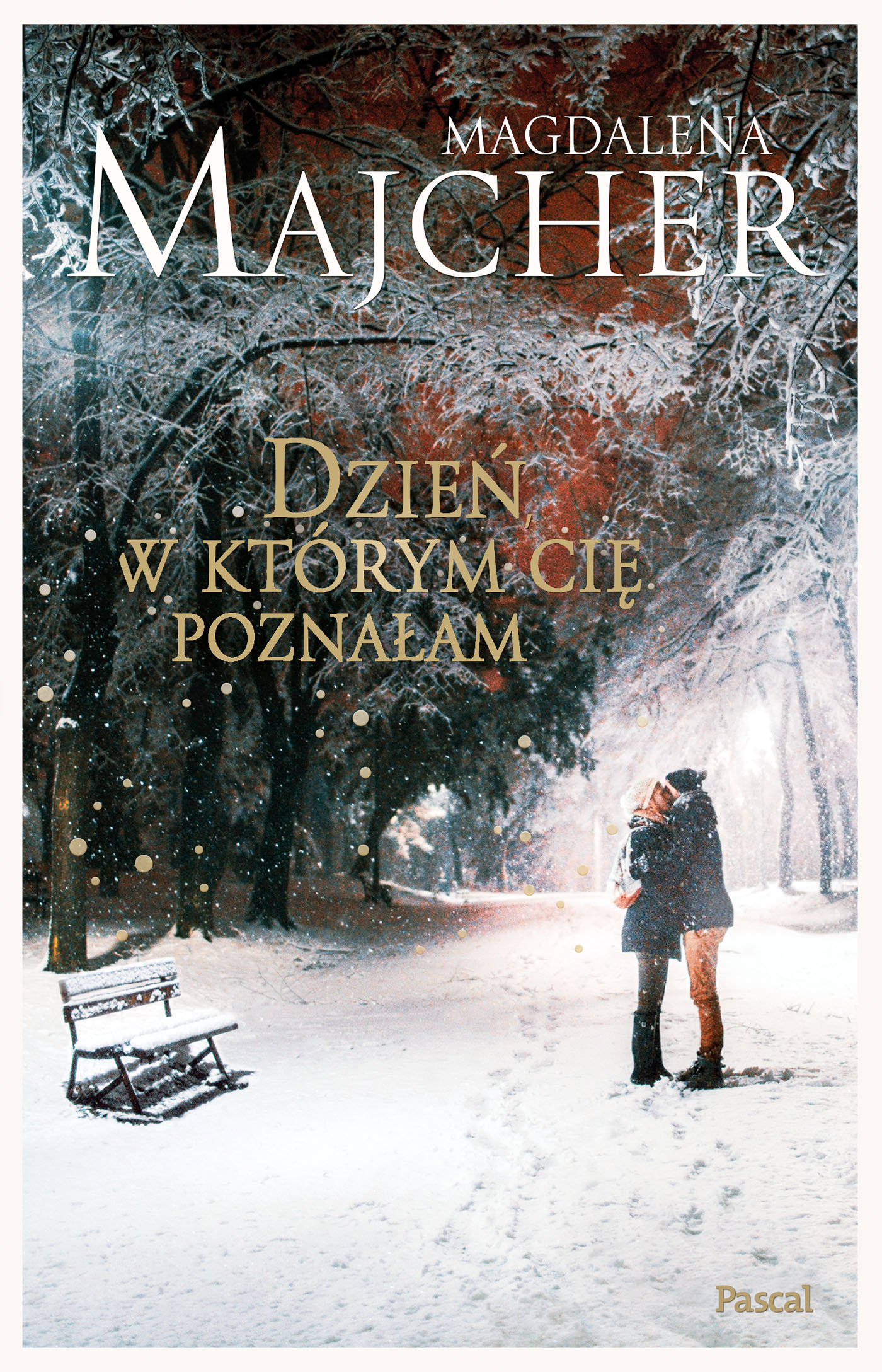 Dzień, w którym Cię poznałam — okładka e-booka