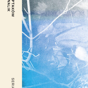 Tytuł: Dźwięki ptaków
Autor: Arek Kowalik
Wydawnictwo: ArtRage
Formaty: EPUB, MOBI
