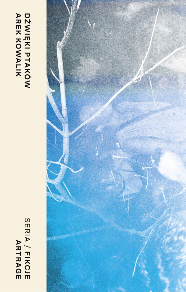 Dźwięki ptaków — okładka