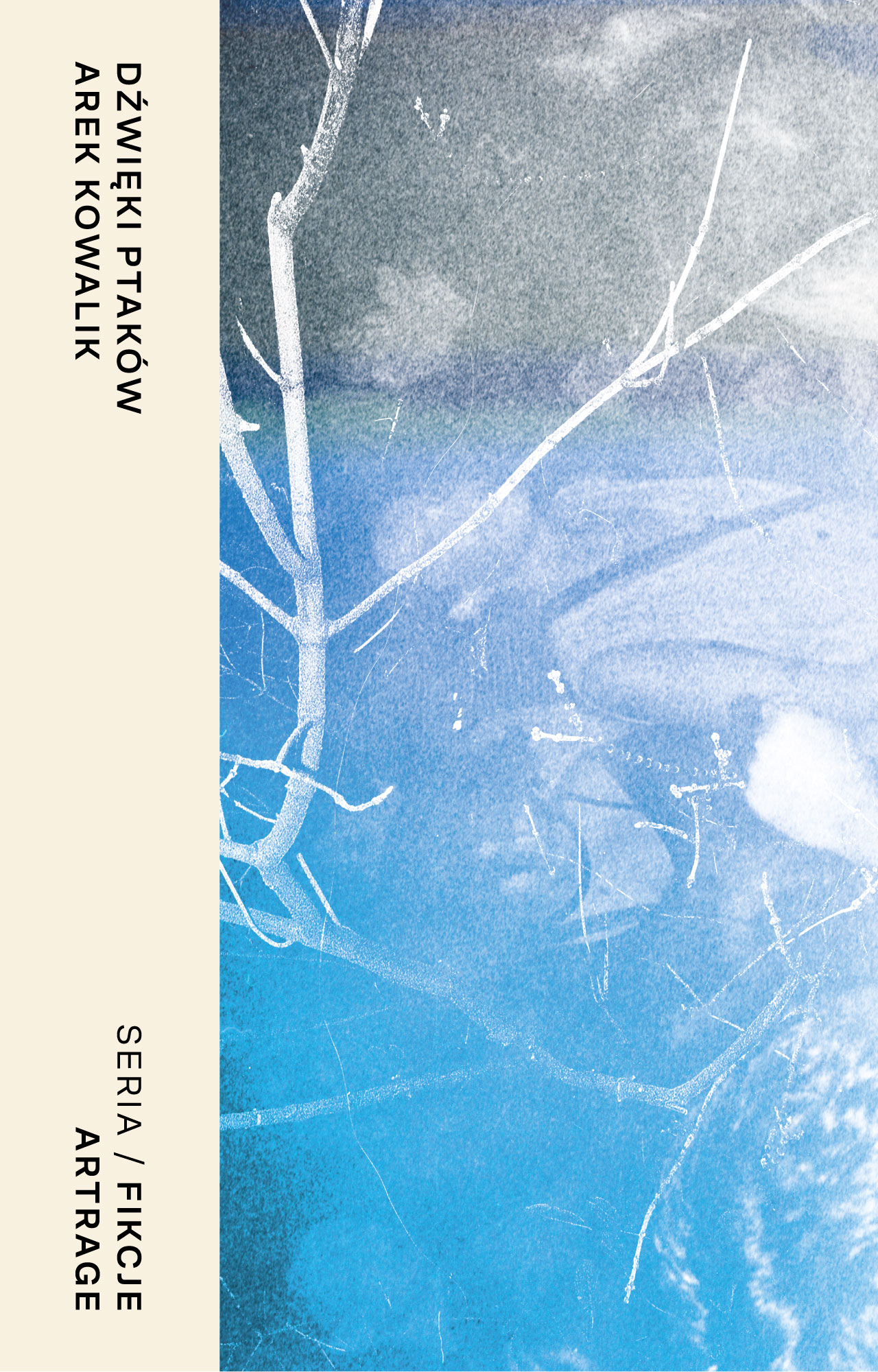 Tytuł: Dźwięki ptaków
Autor: Arek Kowalik
Wydawnictwo: ArtRage
Formaty: EPUB, MOBI