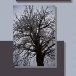 Edda Starsza i Młodsza — okładka e-booka