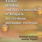 Efekty działań antykryzysowych w krajach na średnim poziomie rozwoju — okładka e-booka