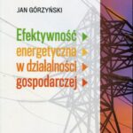 Efektywność energetyczna w działalności gospodarczej — okładka e-booka