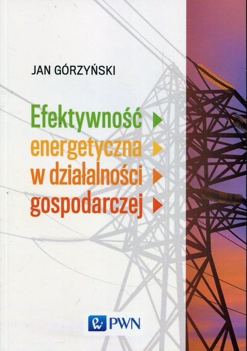 Efektywność energetyczna w działalności gospodarczej — okładka e-booka