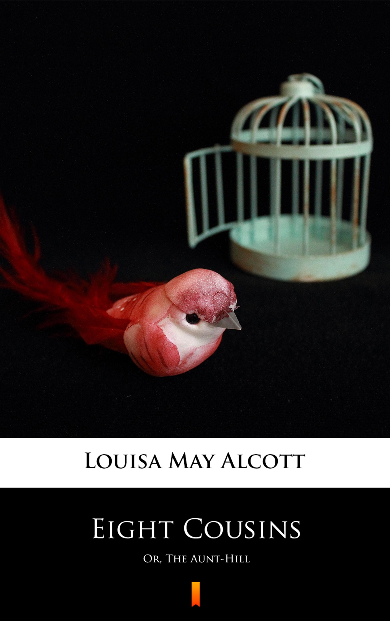 Tytuł: Eight Cousins. Or, The Aunt-Hill
Autor: Louisa May Alcott
Wydawnictwo: KtoCzyta.pl
Formaty: EPUB, MOBI