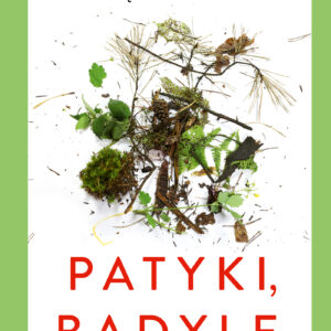 eko. Patyki, badyle — okładka