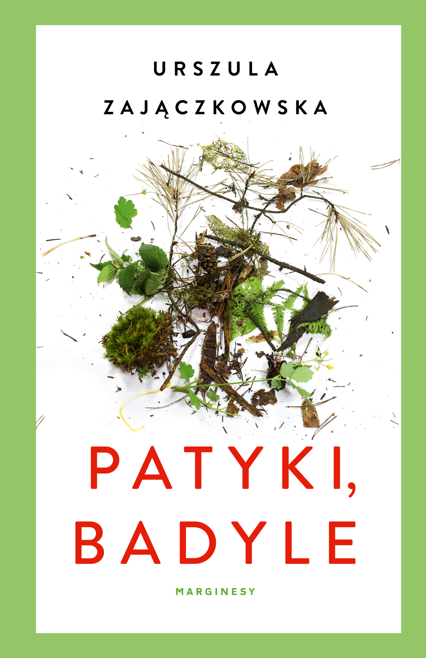 eko. Patyki, badyle — okładka e-booka