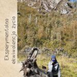 Eksperymentalna ekwiwalencja życia — okładka e-booka