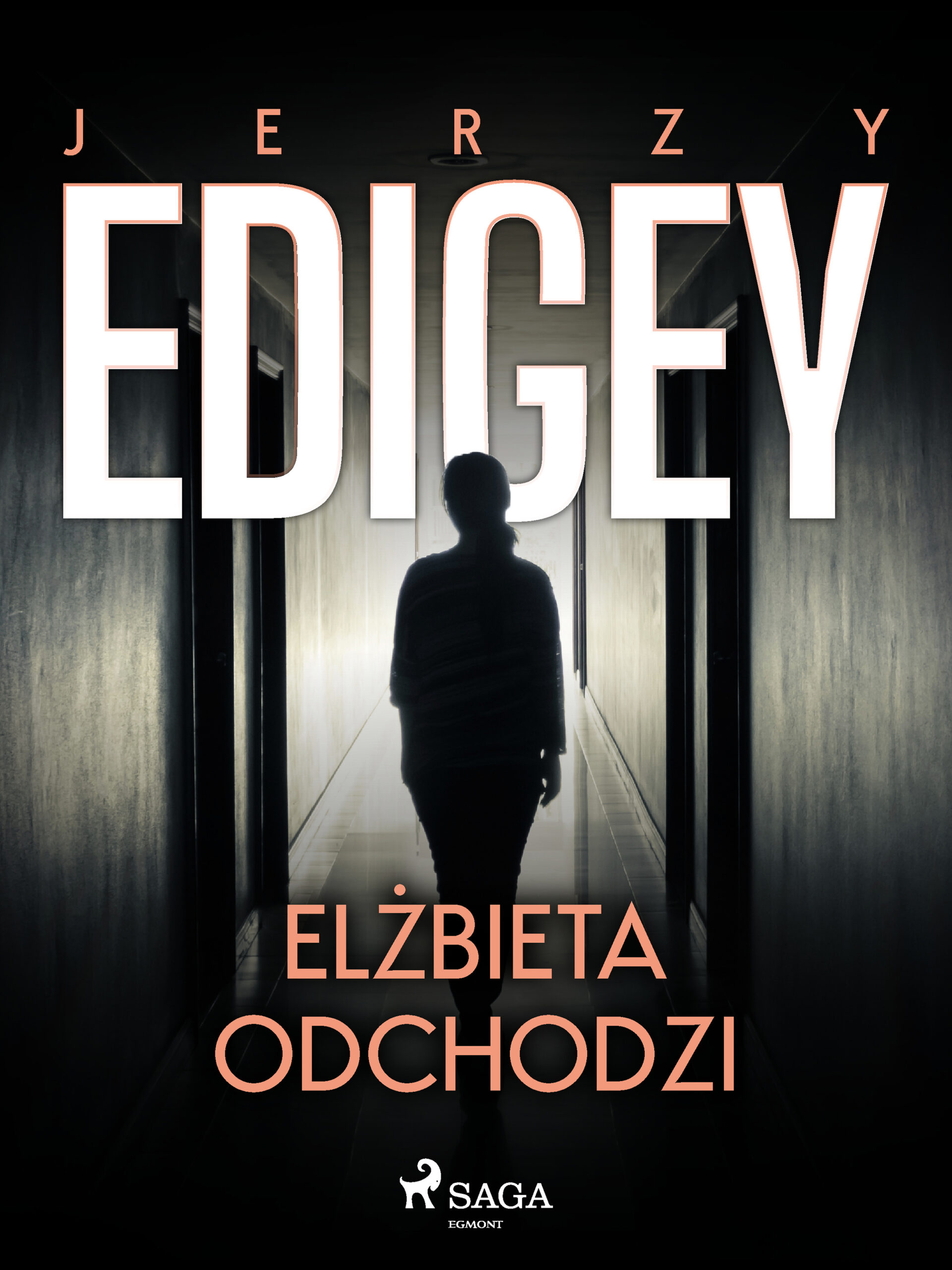 Tytuł: Elżbieta odchodzi
Autor: Jerzy Edigey
Wydawnictwo: SAGA Egmont
Formaty: EPUB, MOBI