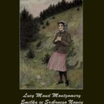 Emilka ze Srebrnego Nowiu. Emily of New Moon — okładka e-booka