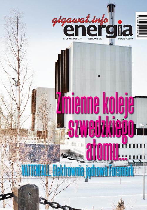 Tytuł: Energia Gigawat 1-2/2021
Autor: zespół autorów
Wydawnictwo: AGENT PR Sylwester Wolak
Formaty: PDF