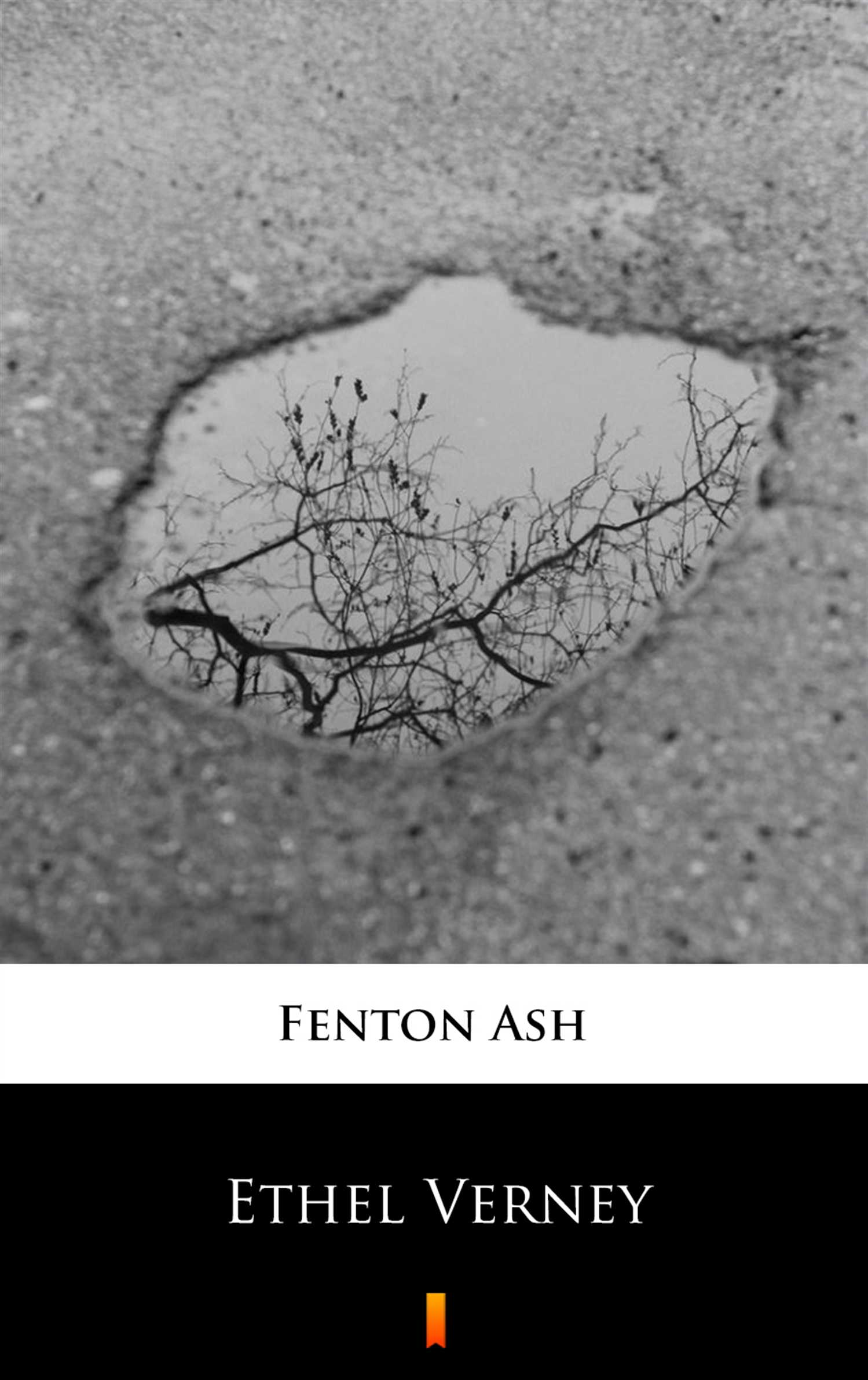 Tytuł: Ethel Verney
Autor: Fenton Ash
Wydawnictwo: KtoCzyta.pl
Formaty: EPUB, MOBI