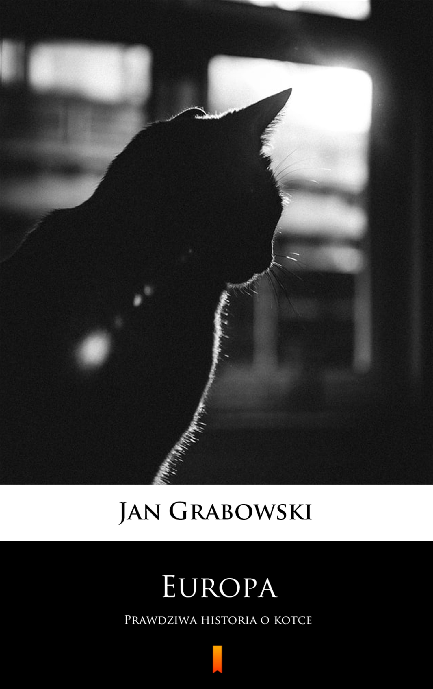 Tytuł: Europa. Prawdziwa historia o kotce
Autor: Jan Grabowski
Wydawnictwo: KtoCzyta.pl
Formaty: EPUB, MOBI