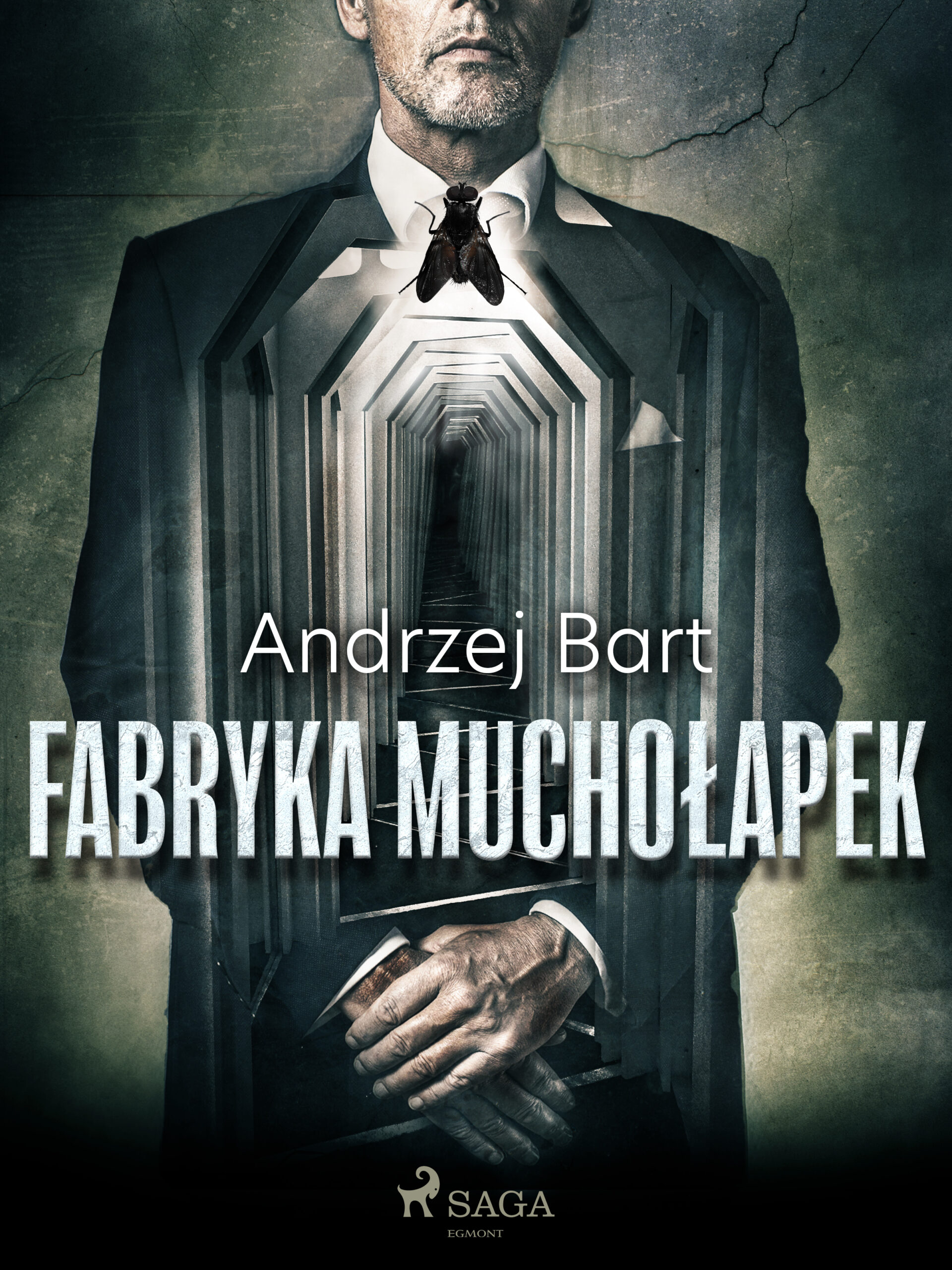 Tytuł: Fabryka muchołapek
Autor: Andrzej Bart
Wydawnictwo: SAGA Egmont
Formaty: EPUB, MOBI