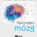 Fascynujący mózg — okładka e-booka