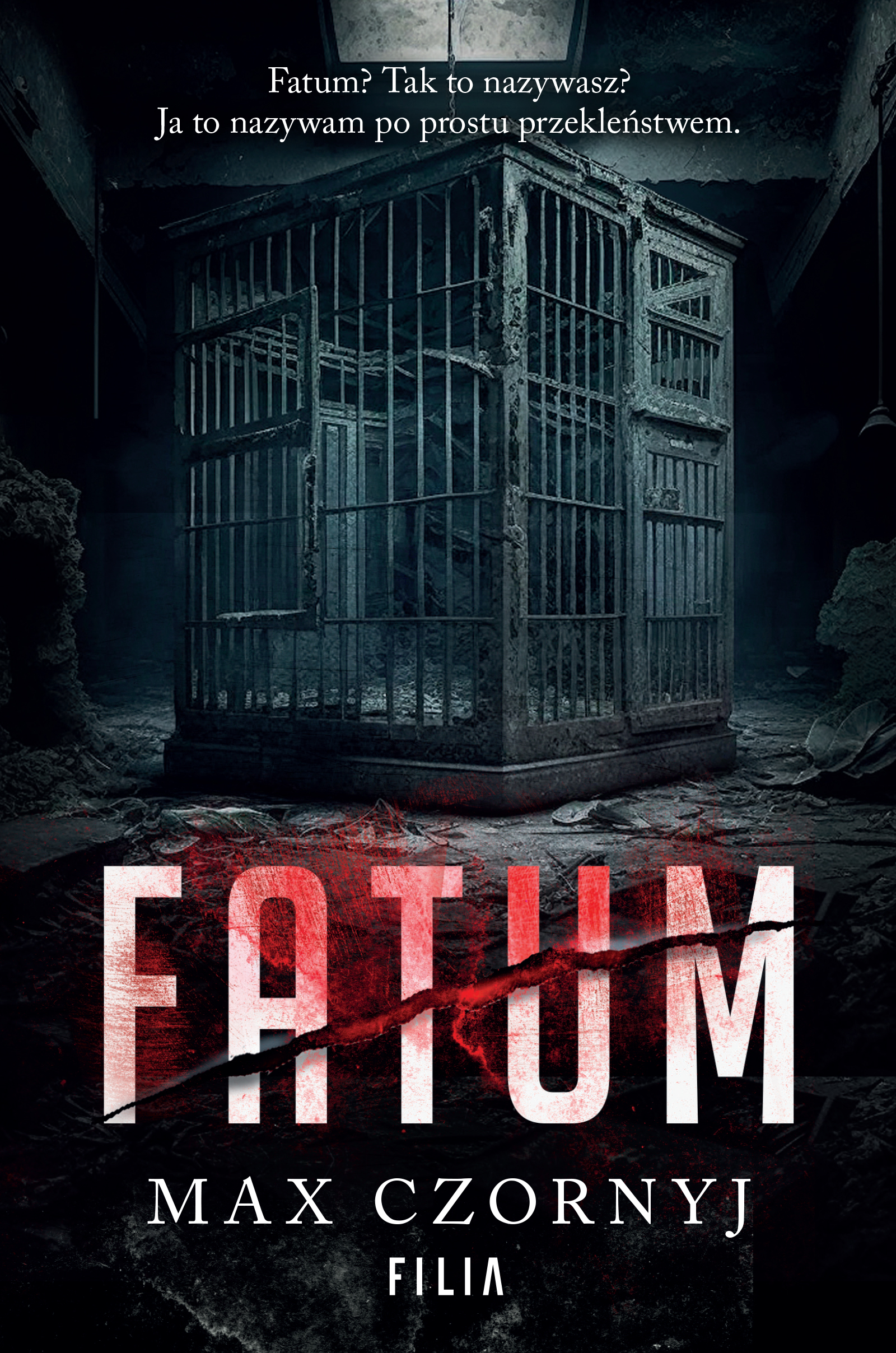 Tytuł: Fatum
Autor: Max Czornyj
Wydawnictwo: FILIA
Formaty: EPUB, MOBI