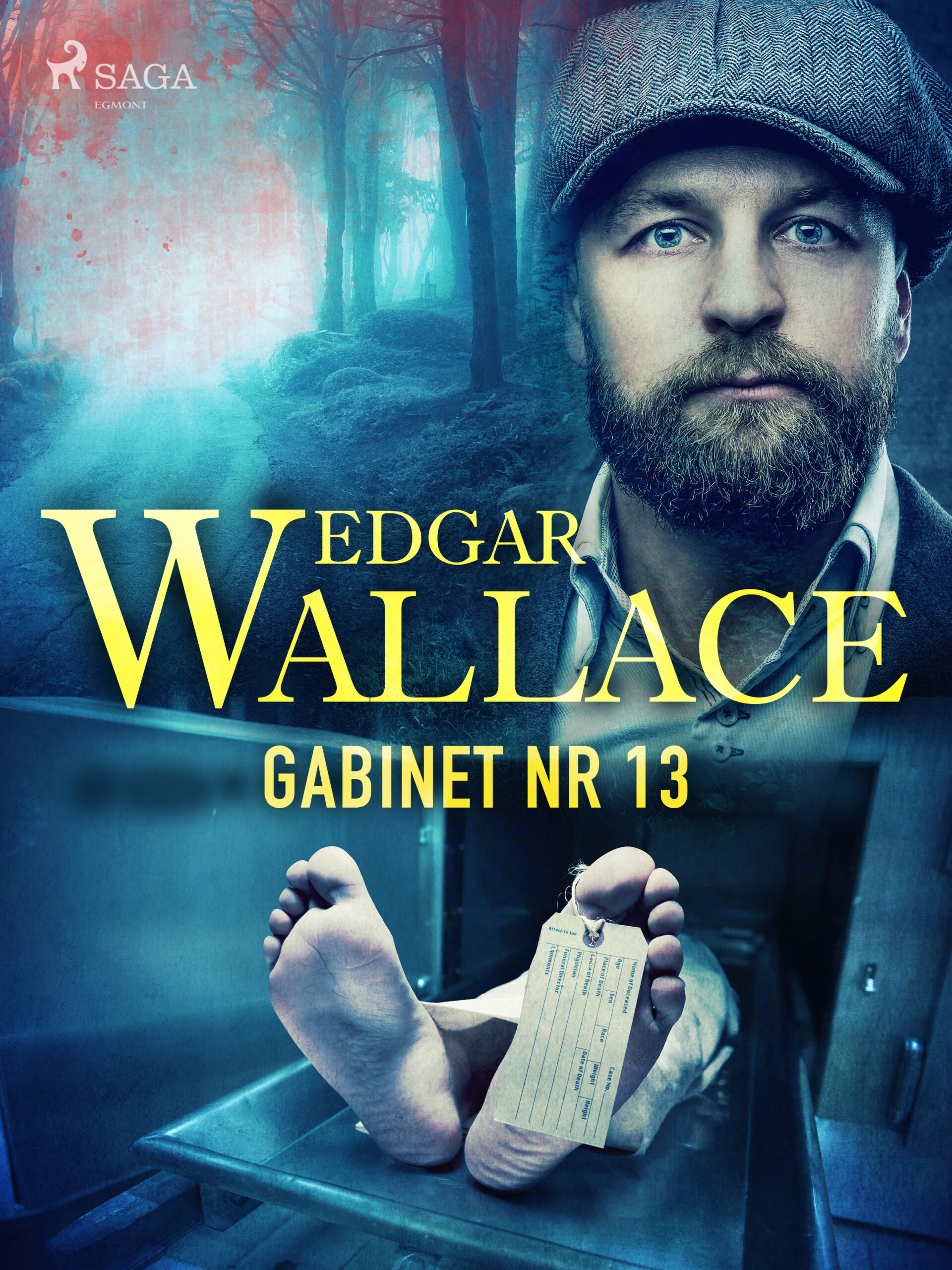 Tytuł: Gabinet nr 13
Autor: Edgar Wallace
Wydawnictwo: SAGA Egmont
Formaty: EPUB, MOBI