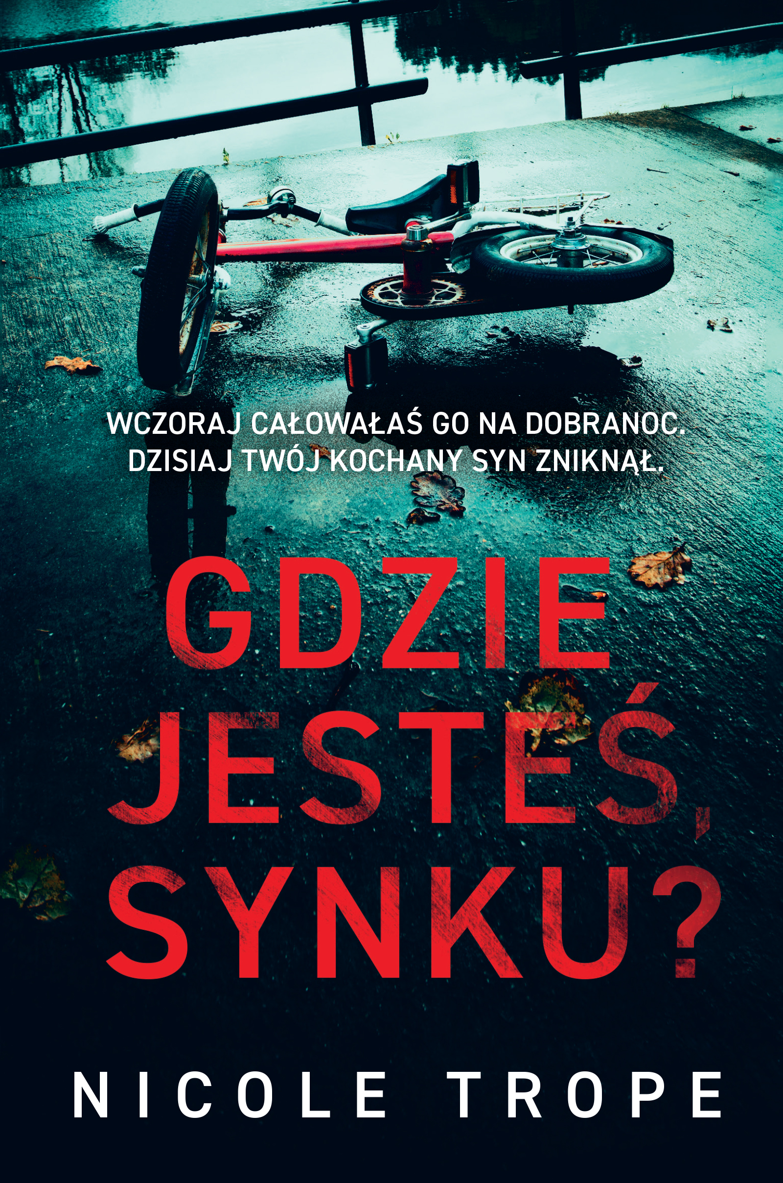 Tytuł: Gdzie jesteś, synku?
Autor: Nicole Trope
Wydawnictwo: FILIA
Formaty: EPUB, MOBI