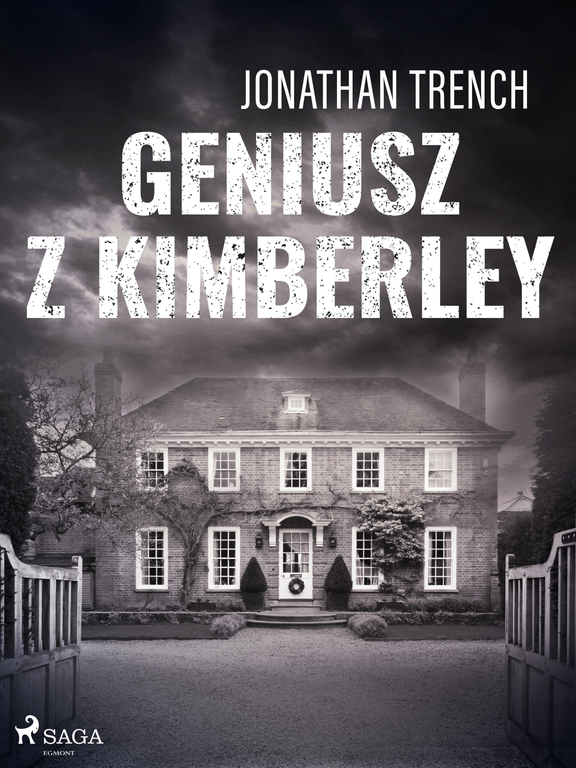 Geniusz z Kimberley — okładka e-booka