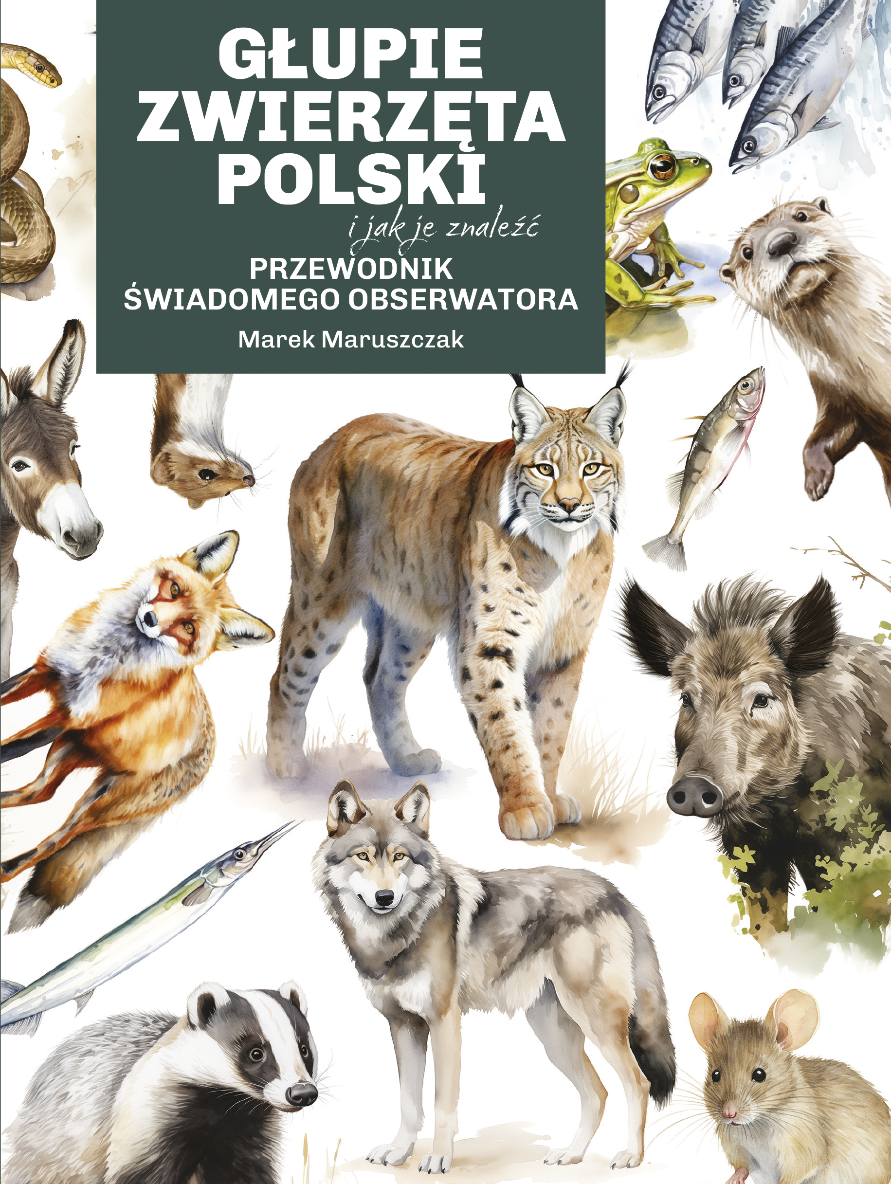 Tytuł: Głupie zwierzęta Polski i jak je znaleźć. Przewodnik świadomego obserwatora
Autor: Marek Maruszczak
Wydawnictwo: Koncept
Formaty: EPUB, MOBI