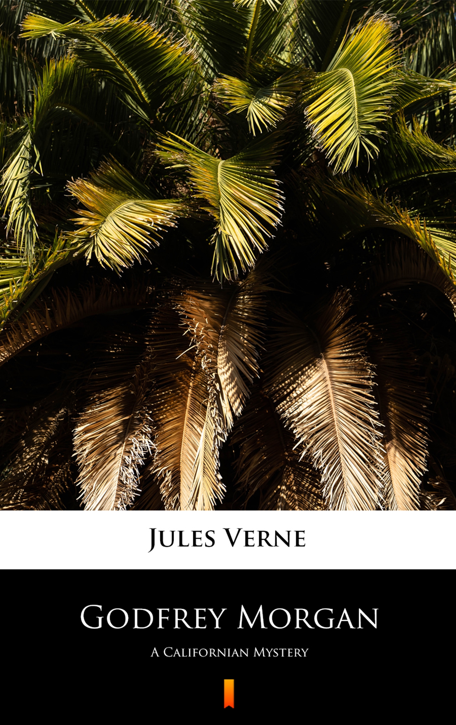 Tytuł: Godfrey Morgan. A Californian Mystery
Autor: Jules Verne
Wydawnictwo: KtoCzyta.pl
Formaty: EPUB, MOBI