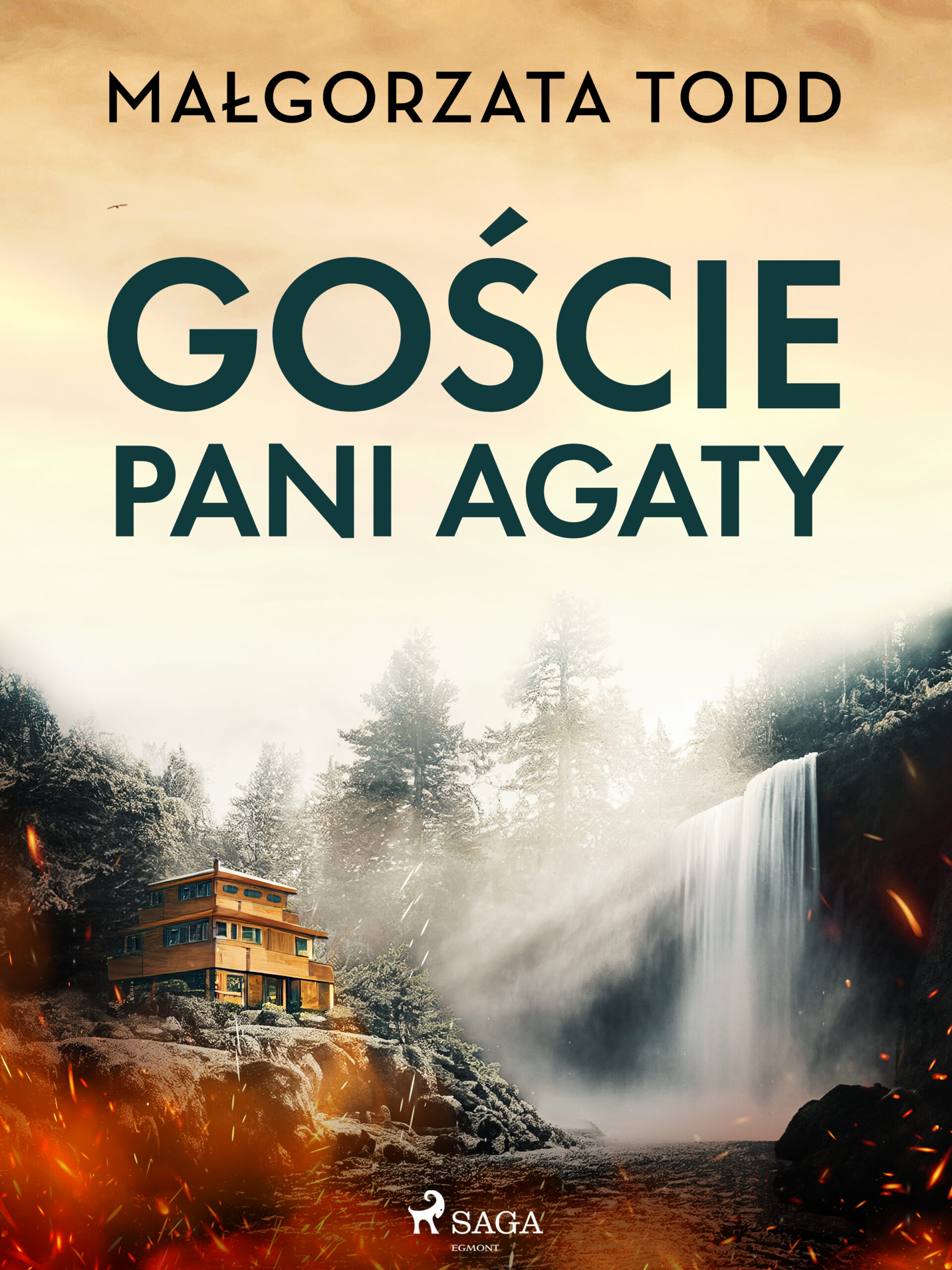Goście pani Agaty — okładka