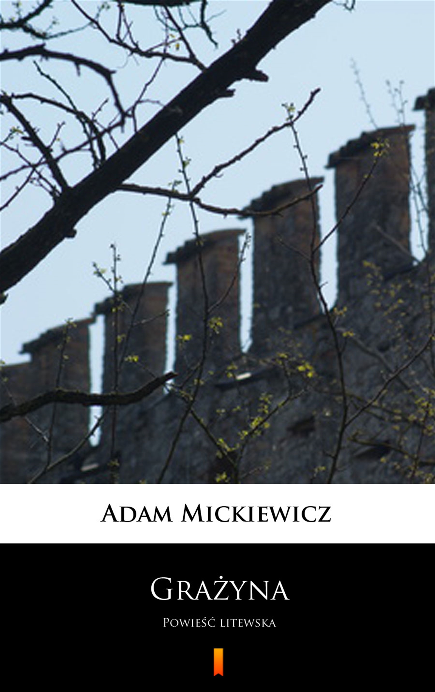 Tytuł: Grażyna. Powieść litewska
Autor: Adam Mickiewicz
Wydawnictwo: KtoCzyta.pl
Formaty: EPUB, MOBI