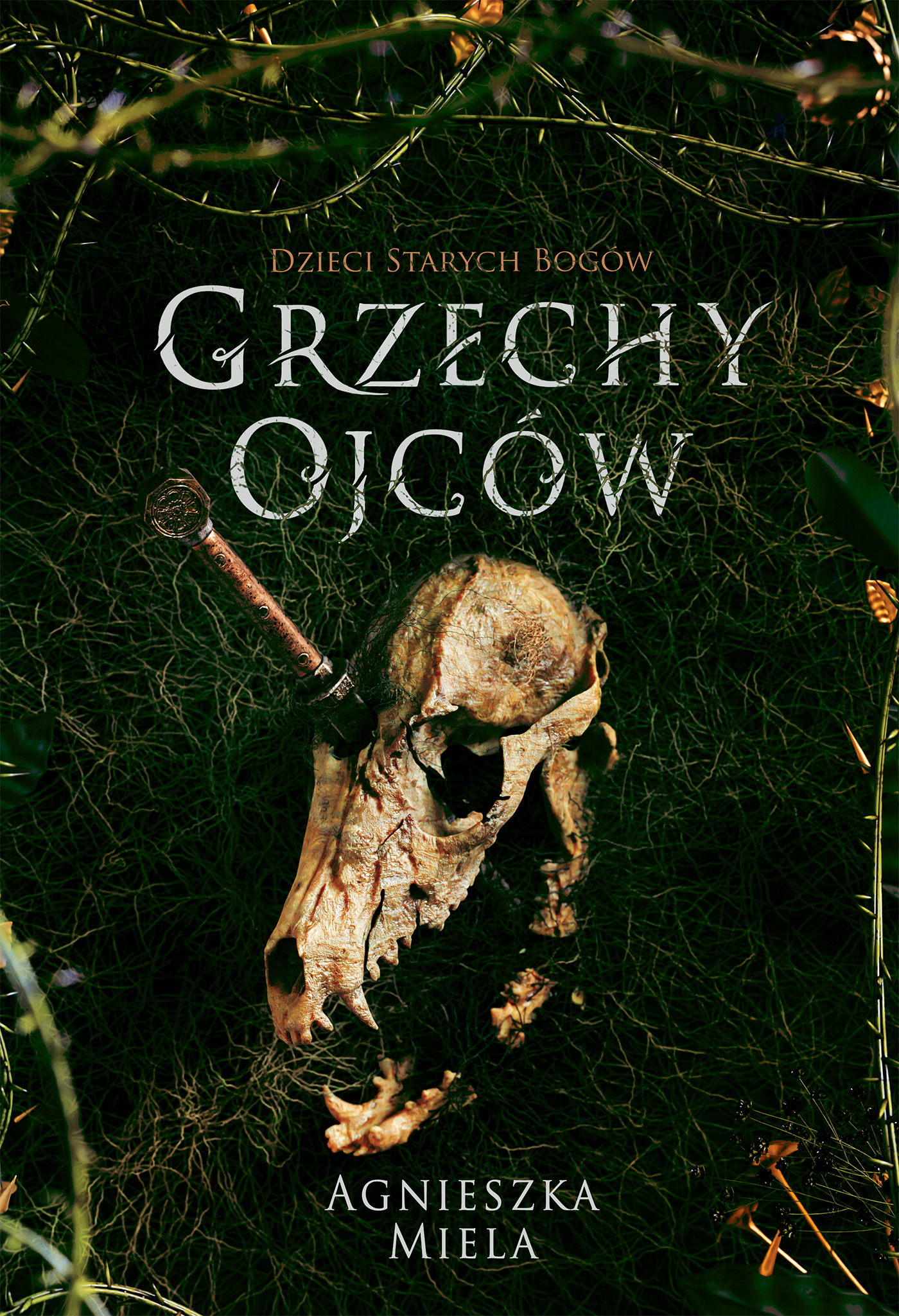 Grzechy ojców. Dzieci Starych Bogów. — okładka e-booka
