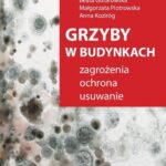 Grzyby w budynkach — okładka e-booka