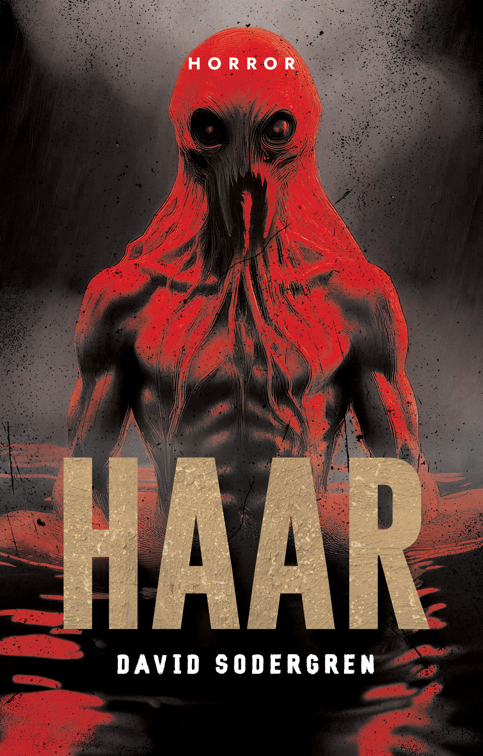 Tytuł: Haar
Autor: David Sodergren
Wydawnictwo: AKURAT
Formaty: EPUB, MOBI