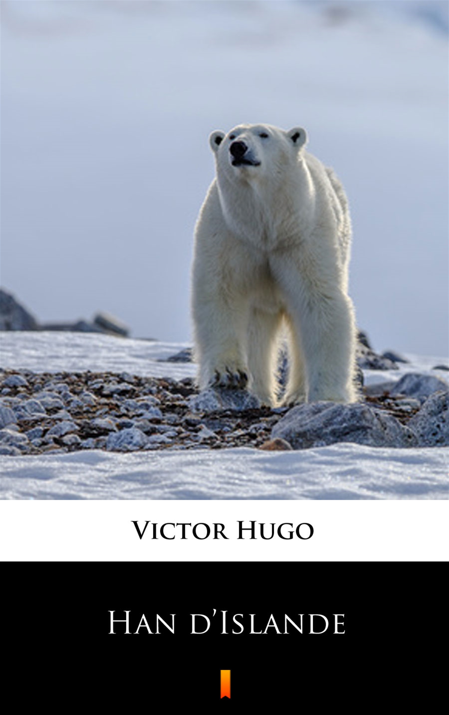 Tytuł: Han d’Islande
Autor: Victor Hugo
Wydawnictwo: KtoCzyta.pl
Formaty: EPUB, MOBI