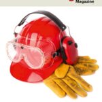 Tytuł: Health and Safety
Autor: Janet Sandford, Prochor Aniszczuk
Wydawnictwo: Colorful Media
Formaty: PDF