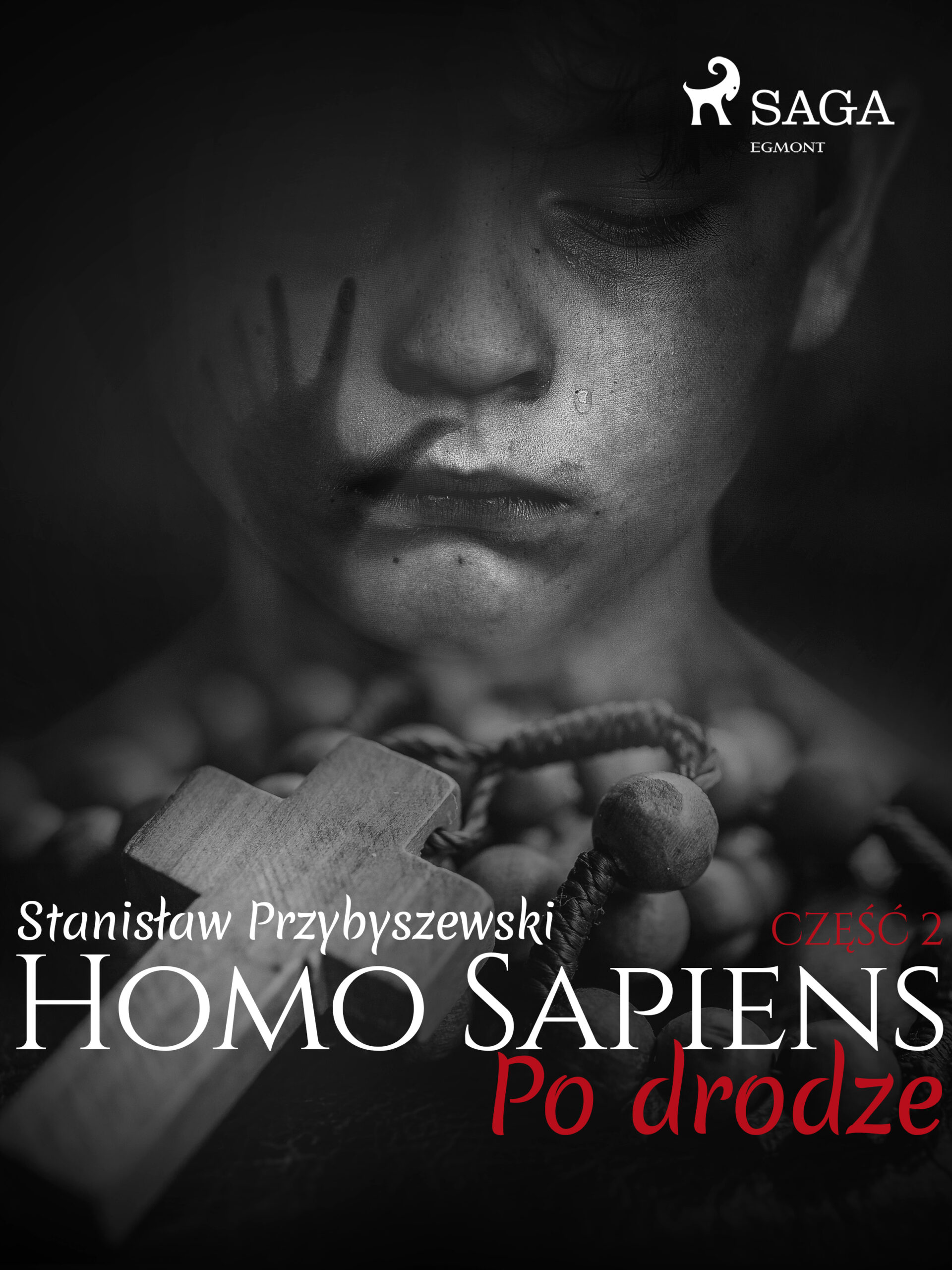 Tytuł: Homo sapiens. Homo Sapiens 2: Po drodze (#223)
Autor: Stanisław Przybyszewski
Wydawnictwo: SAGA Egmont
Formaty: EPUB, MOBI