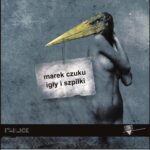 Igły i szpilki — okładka e-booka