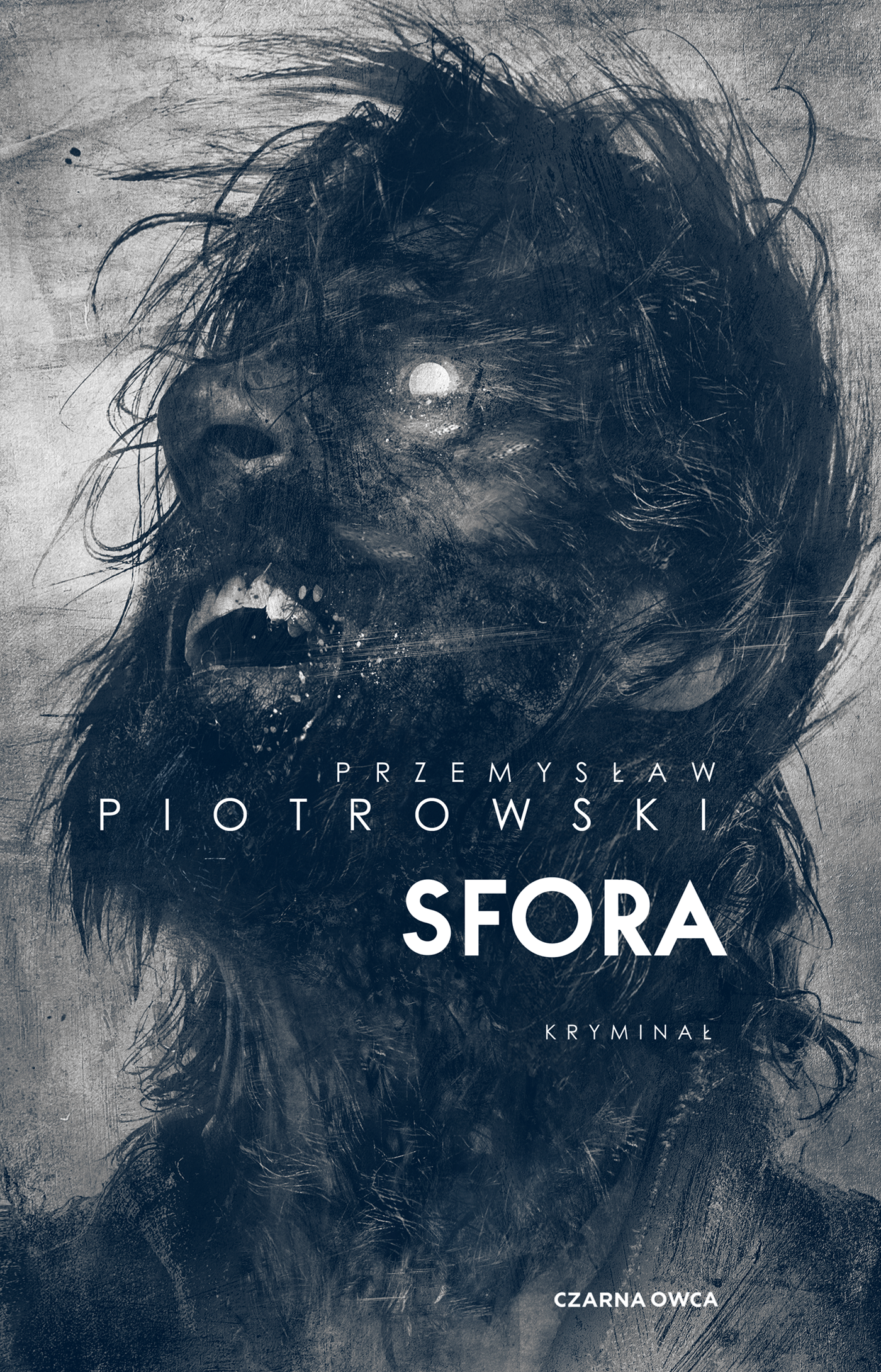 Tytuł: Igor Brudny (tom 2). Sfora
Autor: Przemysław Piotrowski
Wydawnictwo: Wydawnictwo Czarna Owca
Formaty: EPUB, MOBI