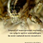 Tytuł: Impact of management regimes on epigeic spider assemblages in semi-natural mesic meadowns
Autor: Marzena Stańska
Wydawnictwo: Uniwersytet w Siedlcach
Formaty: PDF