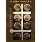 Tytuł: INKUBATOR
Autor: Monika Nowacka
Wydawnictwo: Anagram
Formaty: EPUB, MOBI, PDF